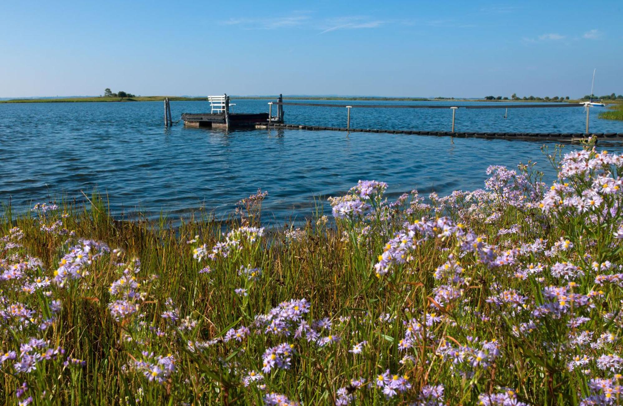 Inselhaeuser Kaltenhof Inselhaus Poel 1 Eksteriør billede